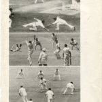 cricket-match
