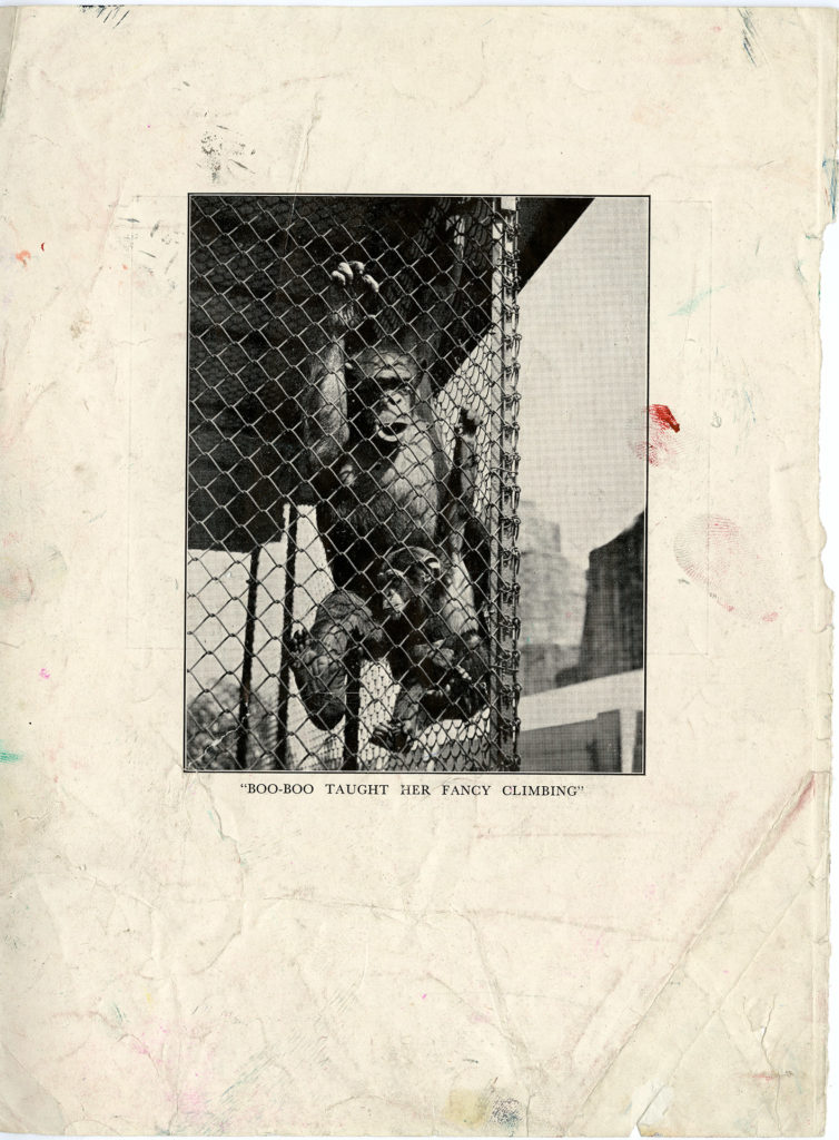 Singe – page arrachée d’un livre (détritus original retrouvé dans l’atelier parisien de Bacon du 14 rue de Birague)