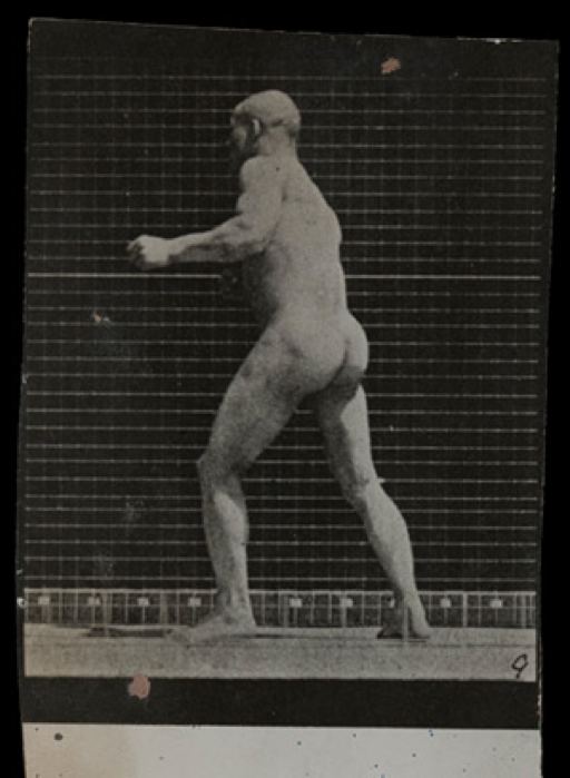 Image de la séquence « L’ombre du boxeur » extraite de The Human Figure in Motion d’Eadweard Muybridge (1901), une des sources d’inspiration du tableau