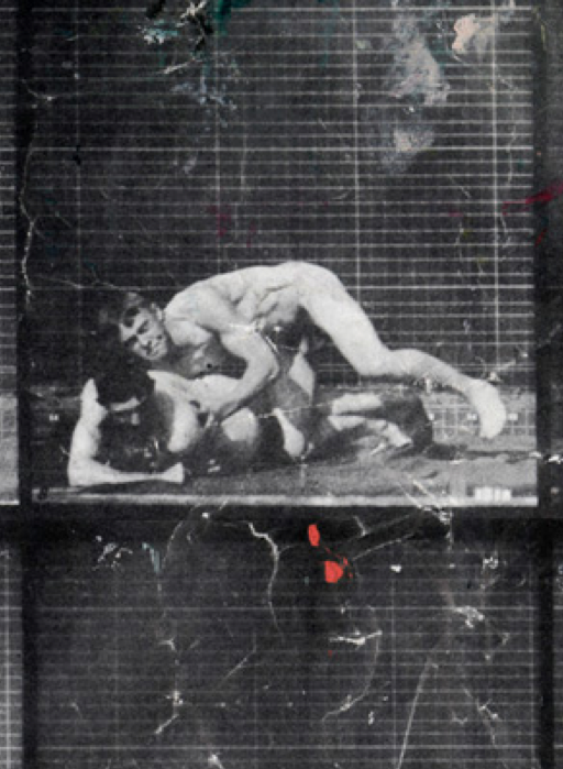 Image de la séquence « Lutteurs en action » extraite de The Human Figure in Motion d'Eadweard Muybridge (1901), une des sources d’inspiration pour ce tableau